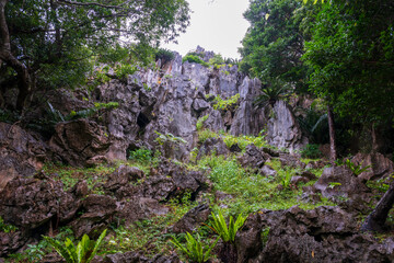 Obraz premium 日本の沖縄県国頭村の大石林山の美しい風景
