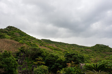 日本の沖縄県国頭村の大石林山の美しい風景