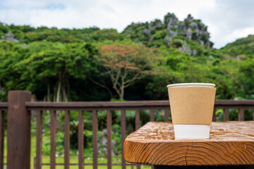 日本の沖縄県国頭村の大石林山の美しい風景