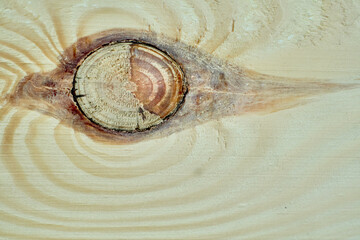 The wooden surface displays stunning grain patterns with a prominent knot at the center, showcasing natural textures and tones that enhance woodcraft aesthetics