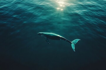 Fototapeta premium Serene Whale in Teal Ocean Depths
