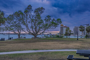 Fototapeta premium The beautiful sunset behind a tree with a bridge and buildings in the background Bayfront Park Sarasota Florida 2024