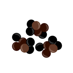 Pepper spice vector illustration