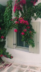 window, house, wall, flower, flowers, architecture, building, old, exterior, europe, plant, balcony, garden, town, decoration, summer, france, greek, greece