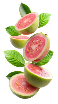 flying pink guava fruit slices isolated on transparent white background, clipping path