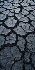 Cracked earth surface illustrating drought or land degradation.