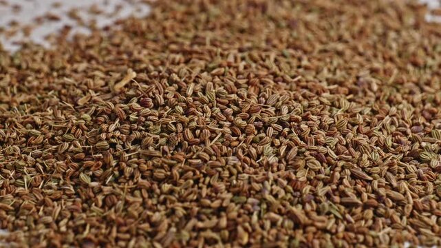 Carom seeds or Ajwain closeup, parallax shot, 4k.