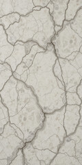 A textured surface with a cracked, marble-like appearance.