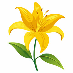 A vibrant yellow lily flower illustration, showcasing its beauty.