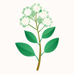 A stylized illustration of a flowering plant with green leaves.