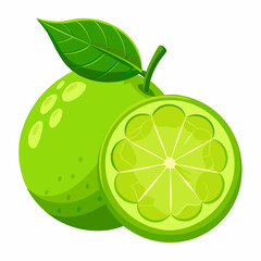 A vibrant green lime with a leaf and a sliced section.