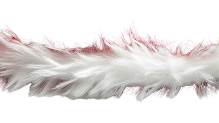 Obraz premium Soft, fluffy, white and pink fur detail. transparent background