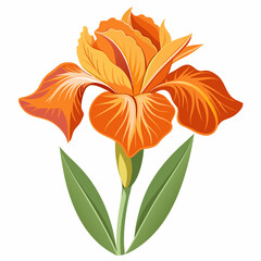 Vibrant orange flower illustration with intricate petal details.