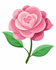 A vibrant pink rose illustration with layered petals and leaves.