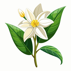 A vibrant illustration of a white flower with green leaves.