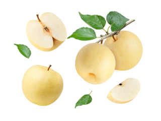 Yellow Chinese pear isolated