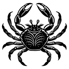 crab isolated on white background
