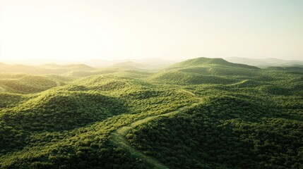 Fototapeta premium Serene Green Hills Landscape: An Aerial View of Rolling Hills bathed in Sunlight