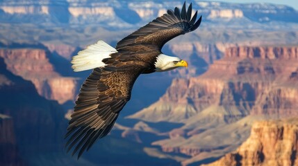 Fototapeta premium Majestic bald eagle in flight over a vast canyon landscape.