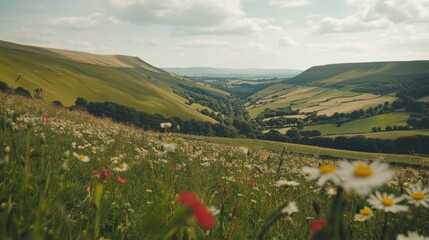 Serene Valley Vista: Wildflowers and Rolling Hills