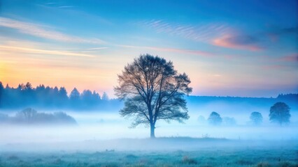misty forest landscape at dawn with a lone tree in focus amidst soft blue fog , single tree, nature background