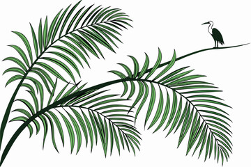 tropical palm fronds, vibrant green leaves, botanical illustration, white background, detailed leaf texture, natural light, photorealistic, high contrast, isolated plant specimen, lush foliage, archin