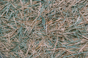 A close-up of dried grass, creating a rustic, textured background.