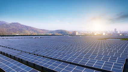 Expansive Solar Panel Fields Under a Bright Sky at Sunrise