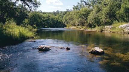 A serene river flows through a lush green forest on a bright sunny day