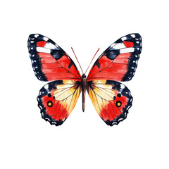 Obraz premium A vibrant butterfly with striking red, black, and white patterns gracefully displays its wings.