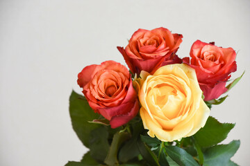 赤と黄色のばら