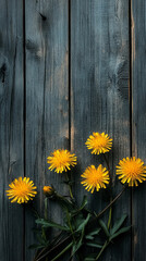 Fototapeta premium dandelions on old wooden background