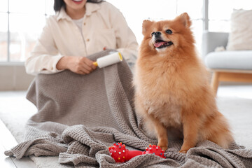 Fluffy dog sitting on plaid and woman with lint roller at home