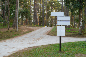 Forest pathway with blank multi directional signpost. Travel, adventure and navigation concepts.