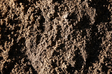 Detailed CloseUp View of Earthy Soil Texture for Use in Agricultural and Environmental Applications
