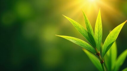 Vibrant Green Leaves Basking in Golden Sunlight A Symbol of Renewal and Growth