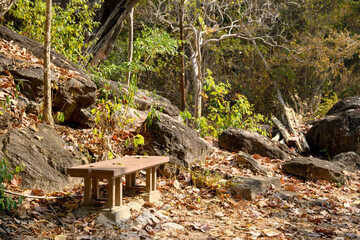 Fototapeta premium Wooden bench surrounded by rocks and scattered leaves in a tranquil forest