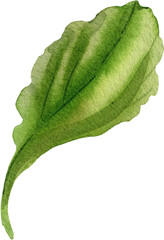 Fototapeta premium Beautiful Flower Clipart Vector Illustration - Floral Design for Graphics