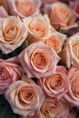 pink roses backdrop for wedding party and background