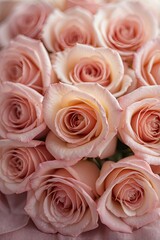 pink roses backdrop for wedding party and background