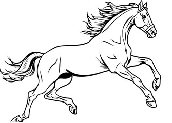 Handdrawn horse sketch