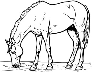 Handdrawn horse sketch