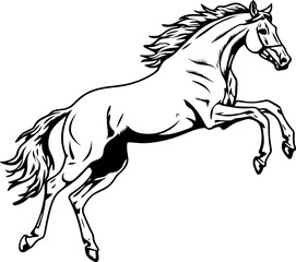 Handdrawn horse sketch