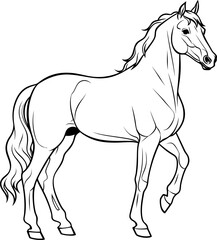 Handdrawn horse sketch