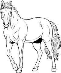 Handdrawn horse sketch
