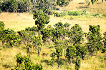 Perfect forest, Viewpoint Thung Salaeng Luang National Park
