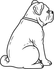 bulldog sketch drawing