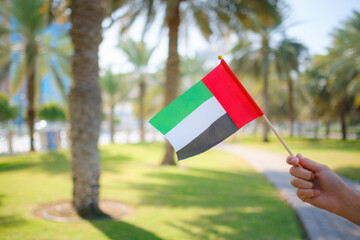 female hand holding tiny flag of UAE
