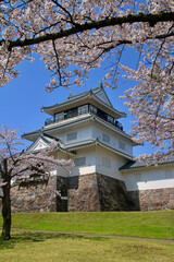 悠久山公園の桜とお城（長野県・長岡市）