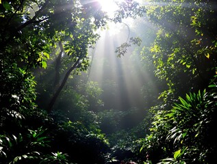 Sunbeams Illuminate Lush Tropical Rainforest, Mystical Sunlight Through Canopy, Green Foliage